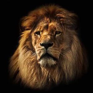 Meet your Posher, Ismael